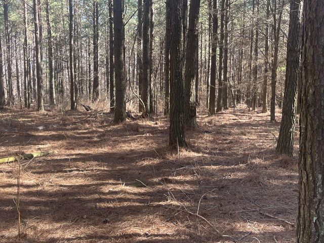 80 High Point Lane, Jasper, TN 37347