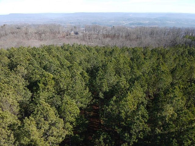 80 High Point Lane, Jasper, TN 37347