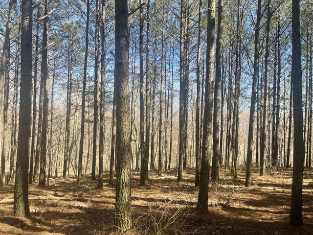 80 High Point Lane, Jasper, TN 37347