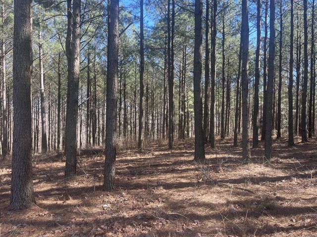 80 High Point Lane, Jasper, TN 37347