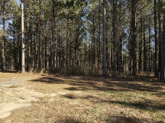 80 High Point Lane, Jasper, TN 37347