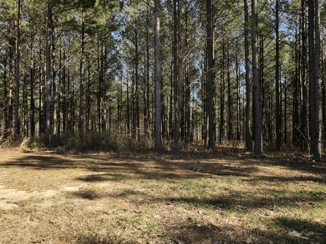 80 High Point Lane, Jasper, TN 37347