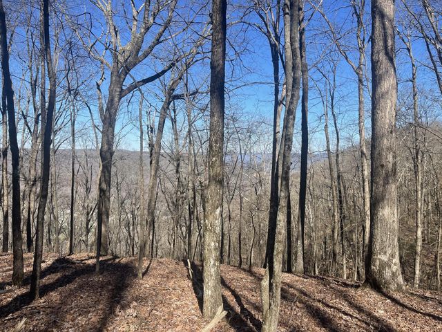 80 High Point Lane, Jasper, TN 37347