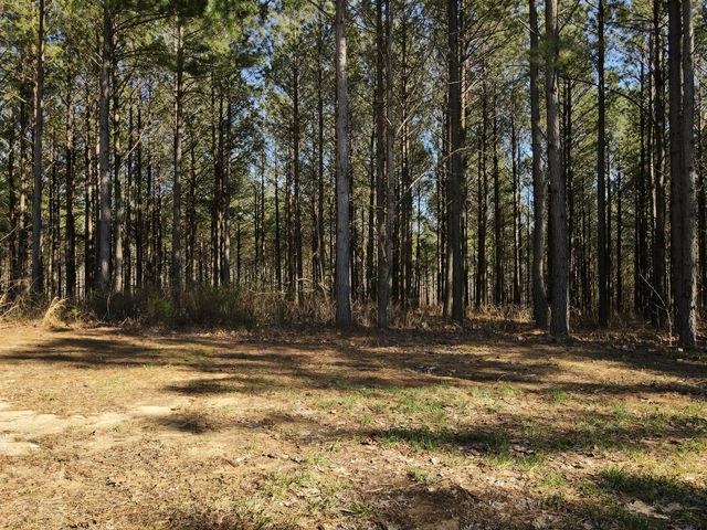 80 High Point Lane, Jasper, TN 37347
