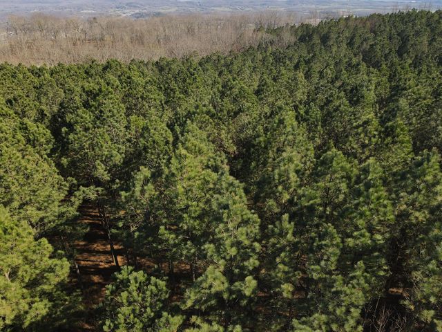 80 High Point Lane, Jasper, TN 37347