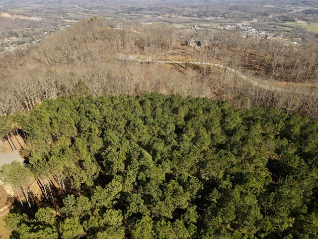 80 High Point Lane, Jasper, TN 37347