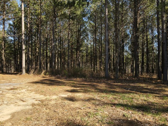 80 High Point Lane, Jasper, TN 37347