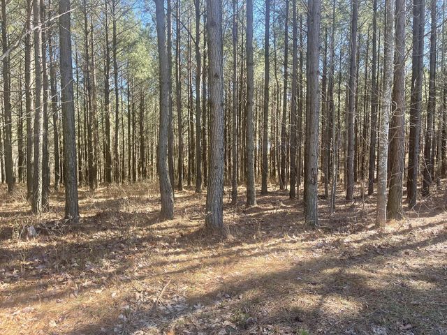 80 High Point Lane, Jasper, TN 37347