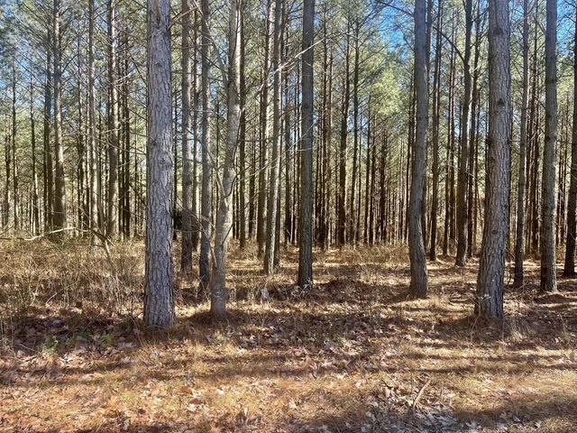80 High Point Lane, Jasper, TN 37347