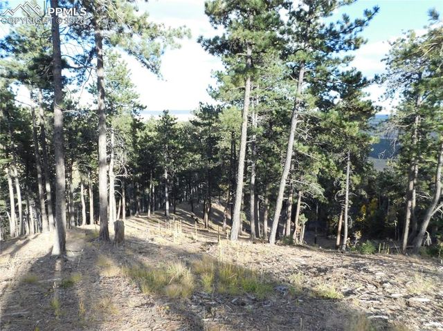 13910 Boulder Lane, Larkspur, CO 80118