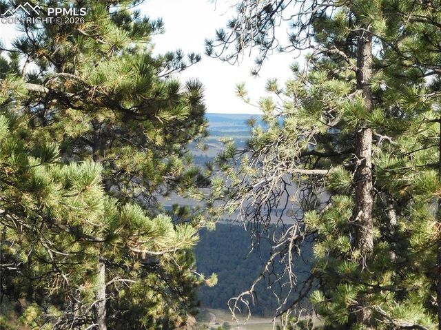 13910 Boulder Lane, Larkspur, CO 80118