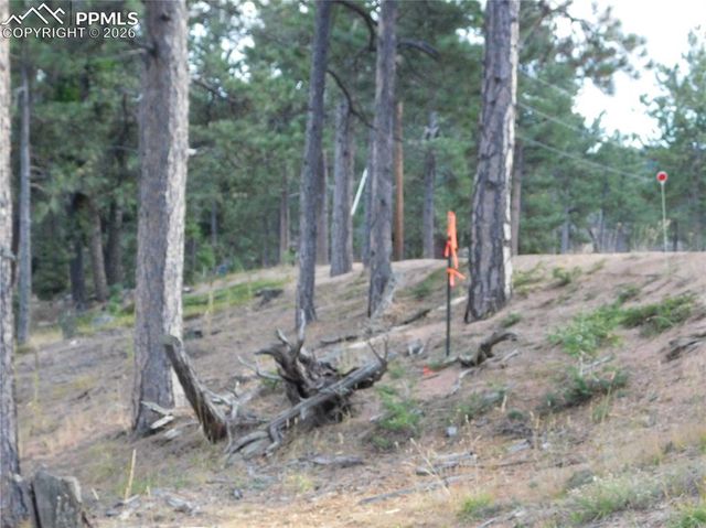 13910 Boulder Lane, Larkspur, CO 80118