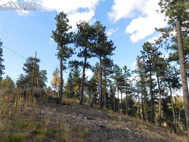 13910 Boulder Lane, Larkspur, CO 80118