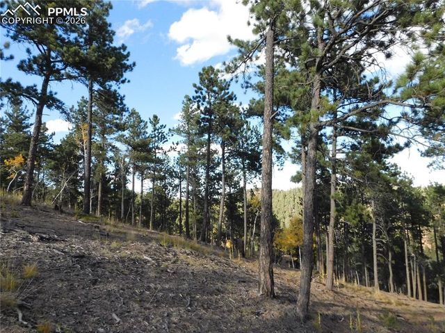 13910 Boulder Lane, Larkspur, CO 80118