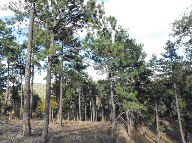 13910 Boulder Lane, Larkspur, CO 80118