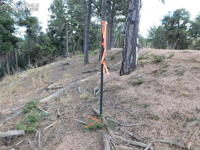 13910 Boulder Lane, Larkspur, CO 80118