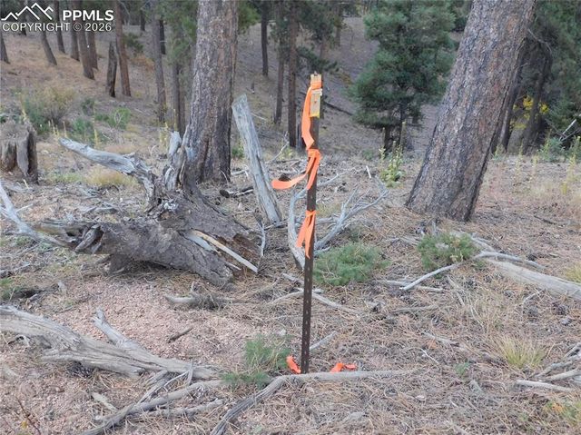 13910 Boulder Lane, Larkspur, CO 80118