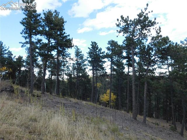 13910 Boulder Lane, Larkspur, CO 80118