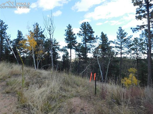 13910 Boulder Lane, Larkspur, CO 80118