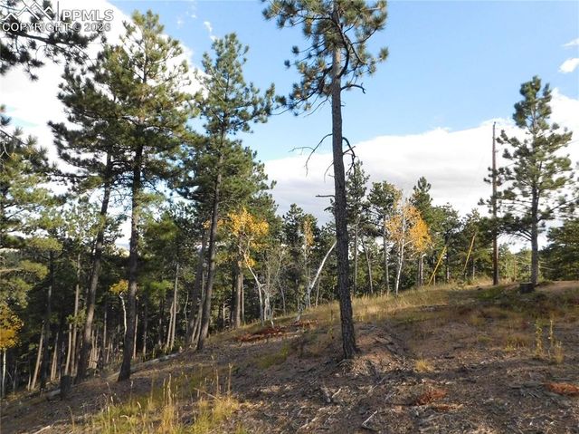 13910 Boulder Lane, Larkspur, CO 80118