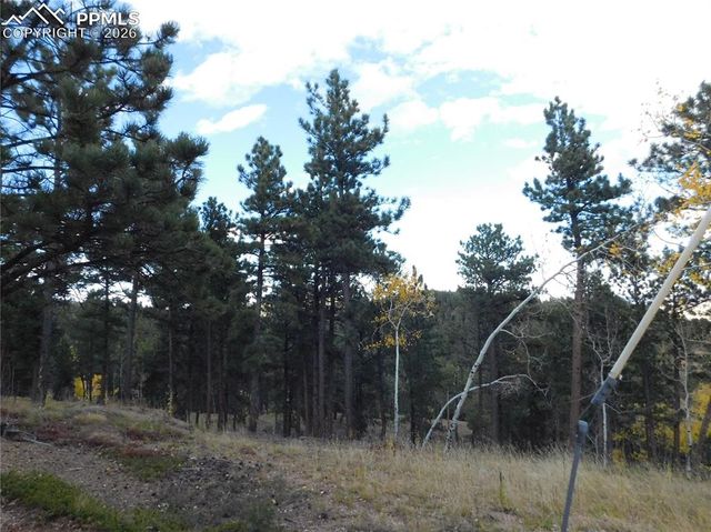 13910 Boulder Lane, Larkspur, CO 80118