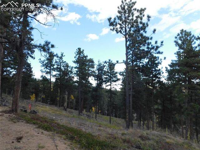 13910 Boulder Lane, Larkspur, CO 80118