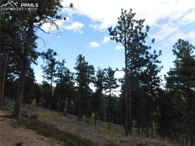 13910 Boulder Lane, Larkspur, CO 80118