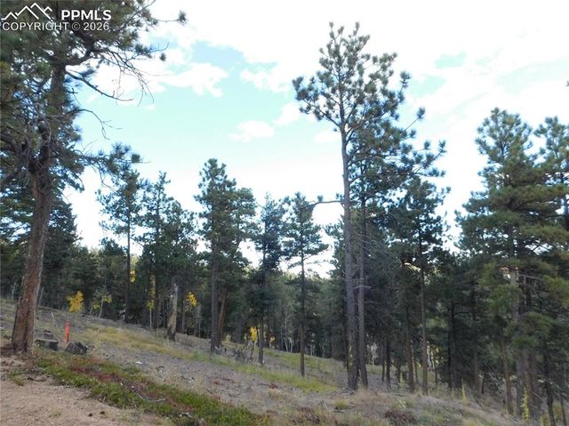 13910 Boulder Lane, Larkspur, CO 80118