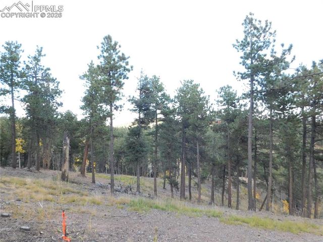 13910 Boulder Lane, Larkspur, CO 80118