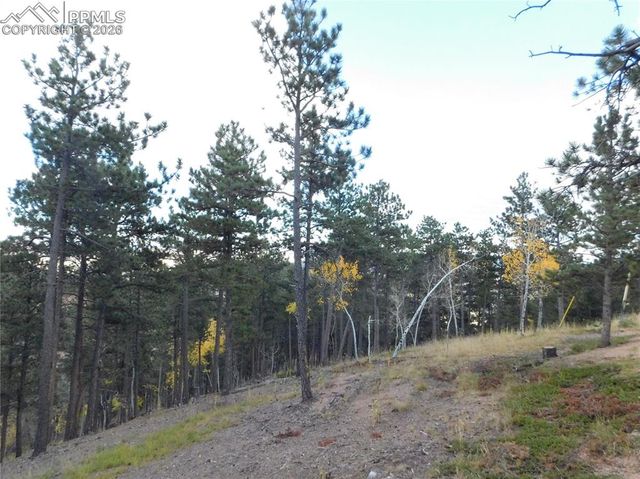 13910 Boulder Lane, Larkspur, CO 80118