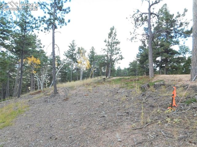 13910 Boulder Lane, Larkspur, CO 80118