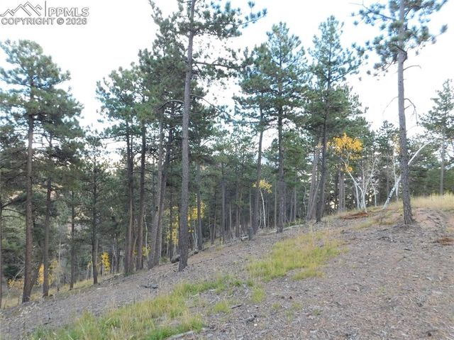 13910 Boulder Lane, Larkspur, CO 80118