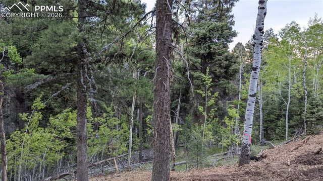 13910 Boulder Lane, Larkspur, CO 80118