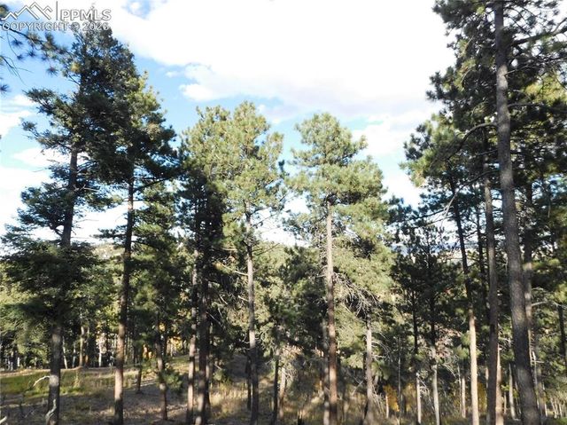 13910 Boulder Lane, Larkspur, CO 80118