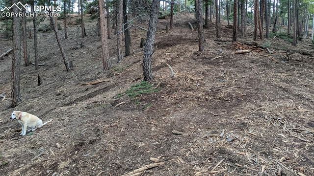 13910 Boulder Lane, Larkspur, CO 80118