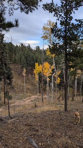 13910 Boulder Lane, Larkspur, CO 80118