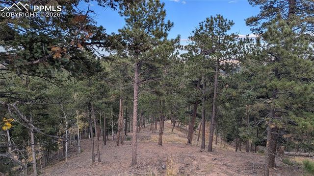 13910 Boulder Lane, Larkspur, CO 80118