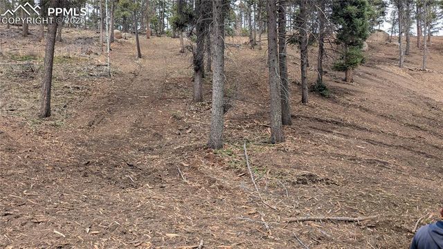 13910 Boulder Lane, Larkspur, CO 80118