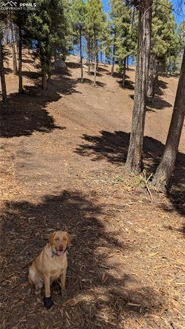 13910 Boulder Lane, Larkspur, CO 80118