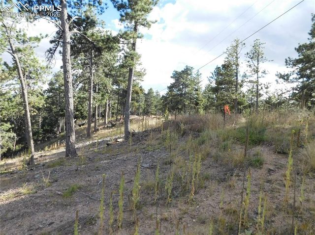 13910 Boulder Lane, Larkspur, CO 80118