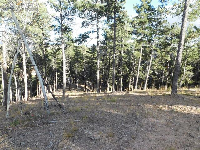 13910 Boulder Lane, Larkspur, CO 80118