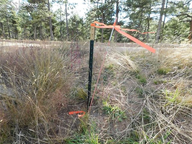 13910 Boulder Lane, Larkspur, CO 80118