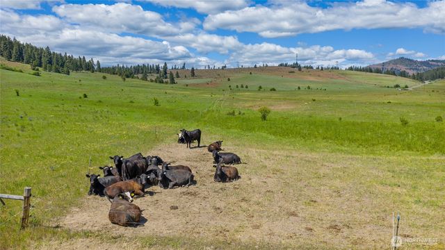 1371 Bettas Road, Cle Elum, WA 98926