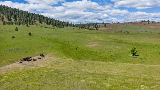 1371 Bettas Road, Cle Elum, WA 98926