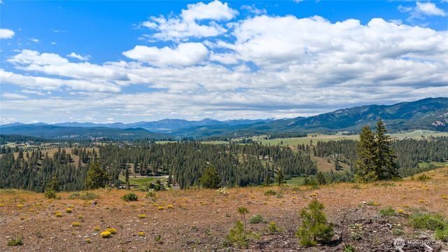 1371 Bettas Road, Cle Elum, WA 98926