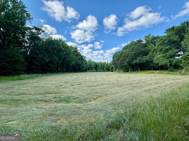 1298 Ray Weaver Road, Canon, GA 30520