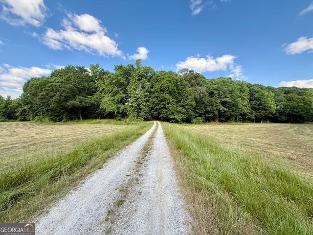 1298 Ray Weaver Road, Canon, GA 30520