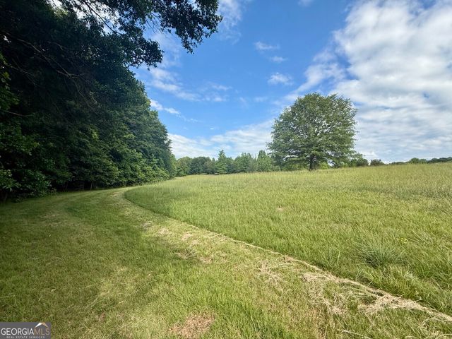 1298 Ray Weaver Road, Canon, GA 30520
