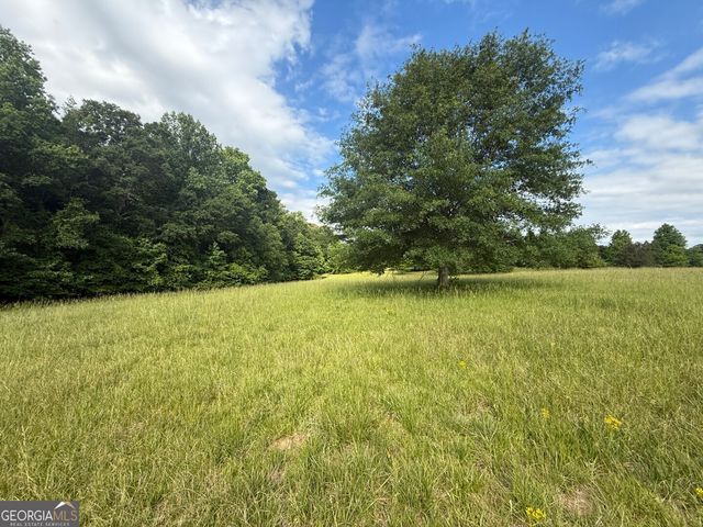 1298 Ray Weaver Road, Canon, GA 30520