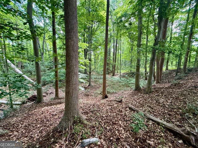 1298 Ray Weaver Road, Canon, GA 30520